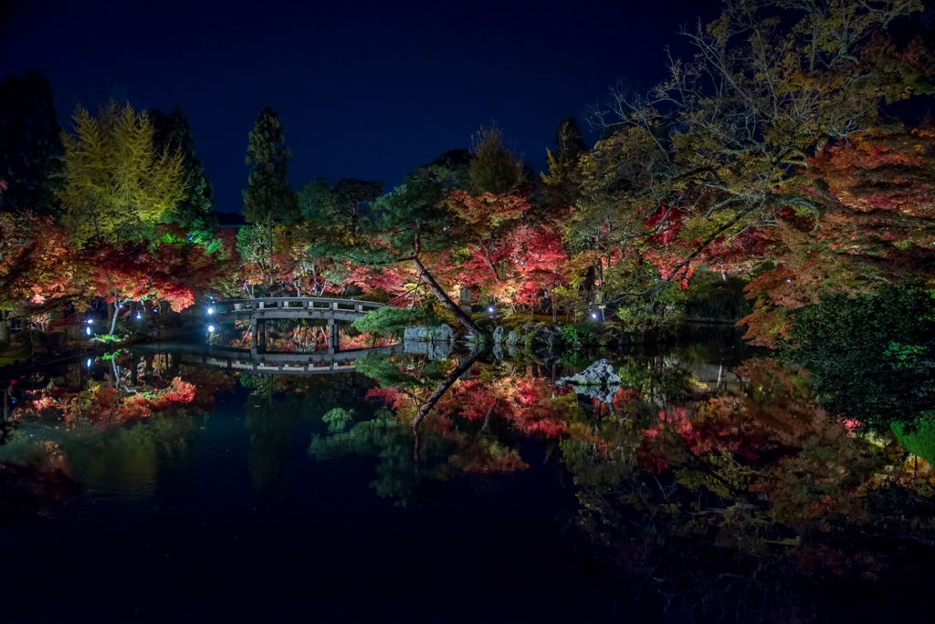 　禅林寺　今宵の錦絵