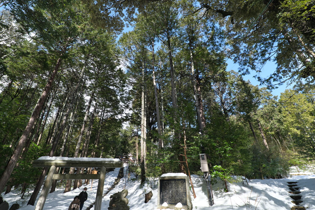 宮津の神域へ…
