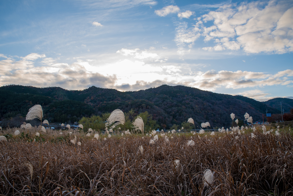 初冬の嵐山