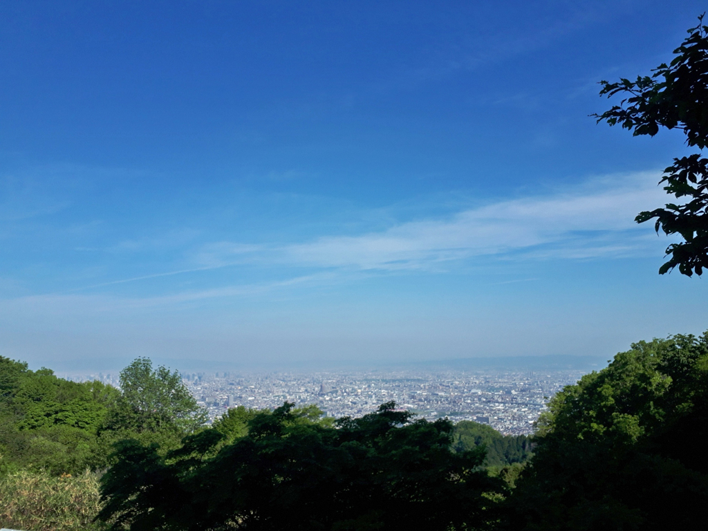 今朝の空