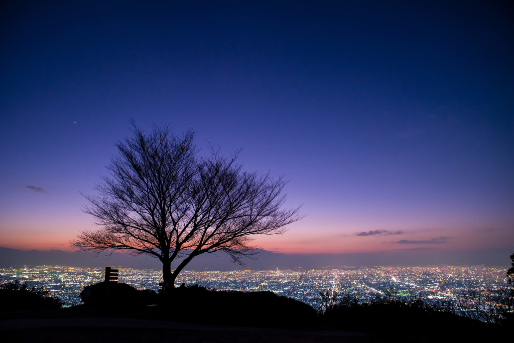 そこから見える景色