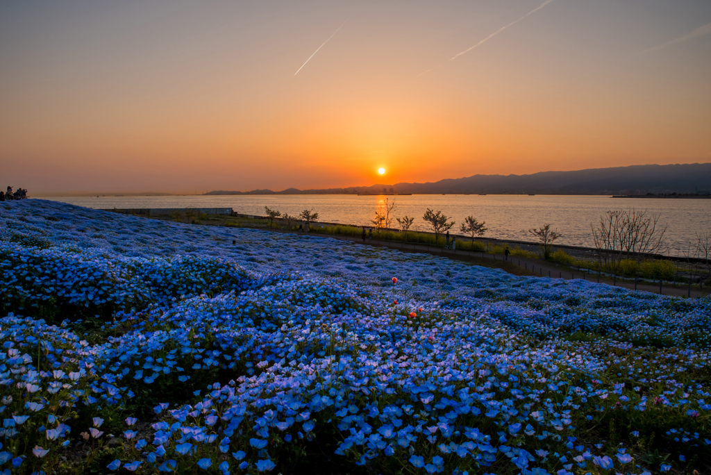 Sunset   -Blue jewelry-