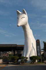 白狐伝説