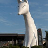 白狐伝説