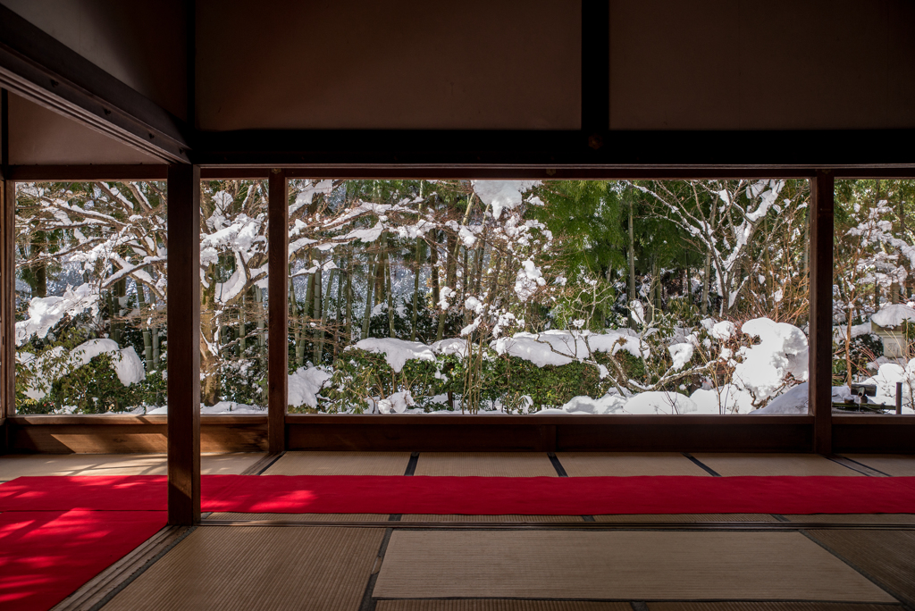 　盤桓園の春陽