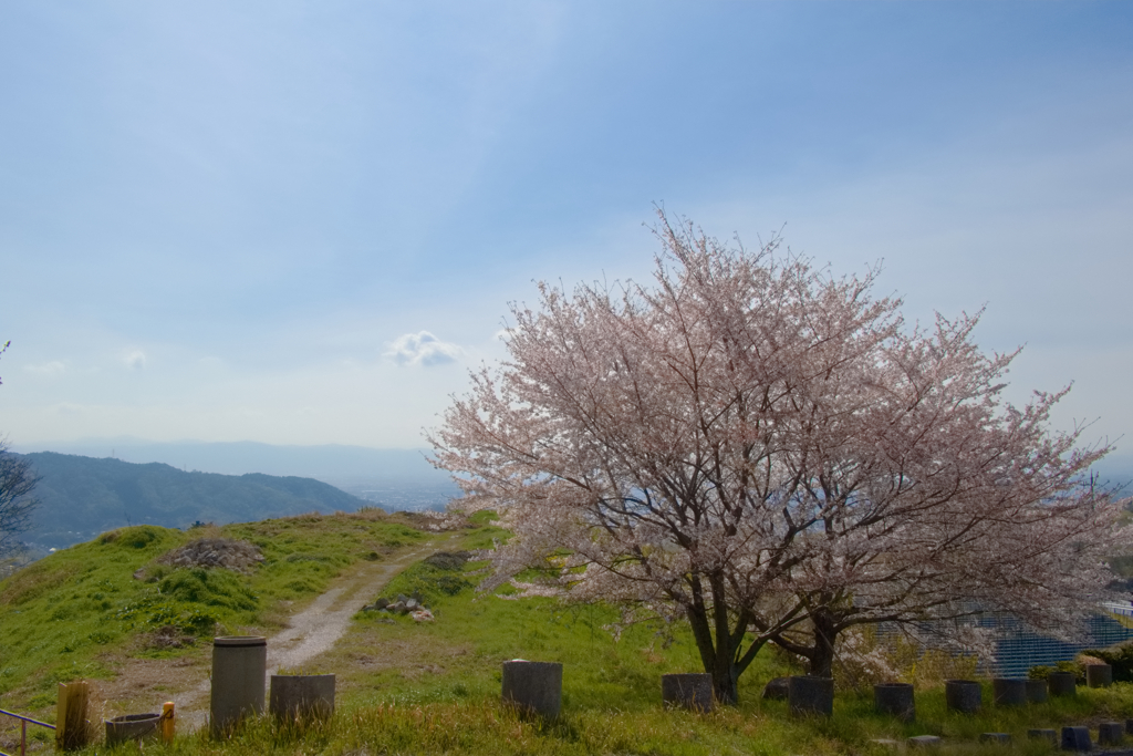 道すがらの… by hiro... (ID:13447782) - 写真共有サイト:PHOTOHITO