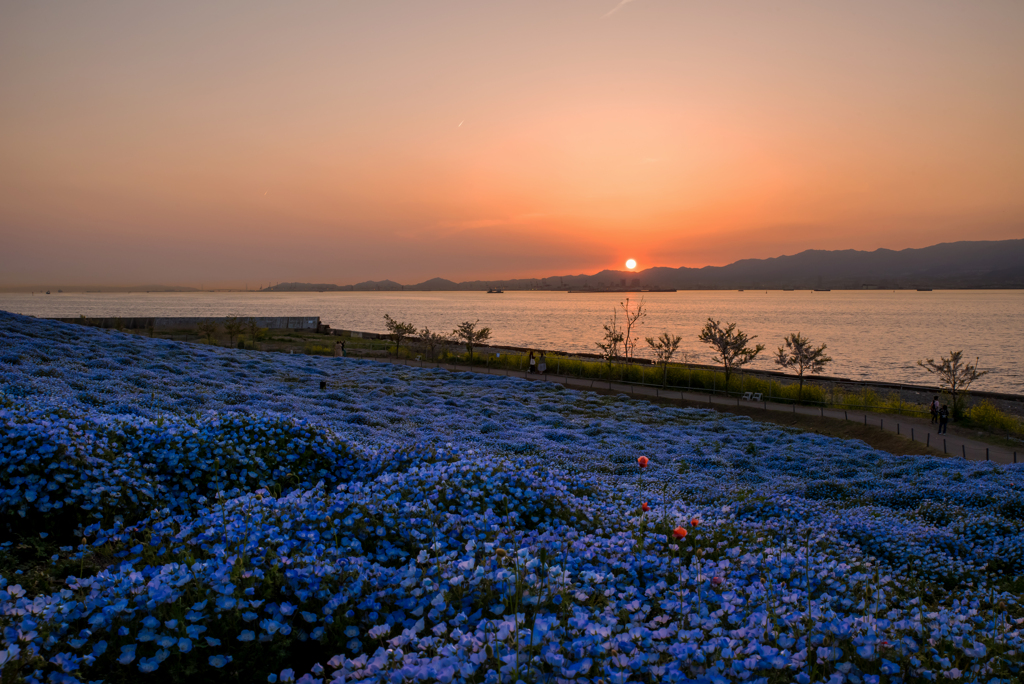  また見たい景色…