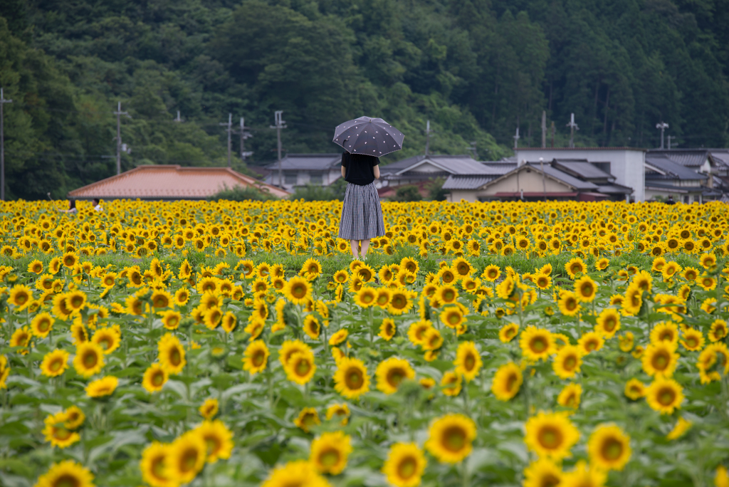  夏　ワンシーン…