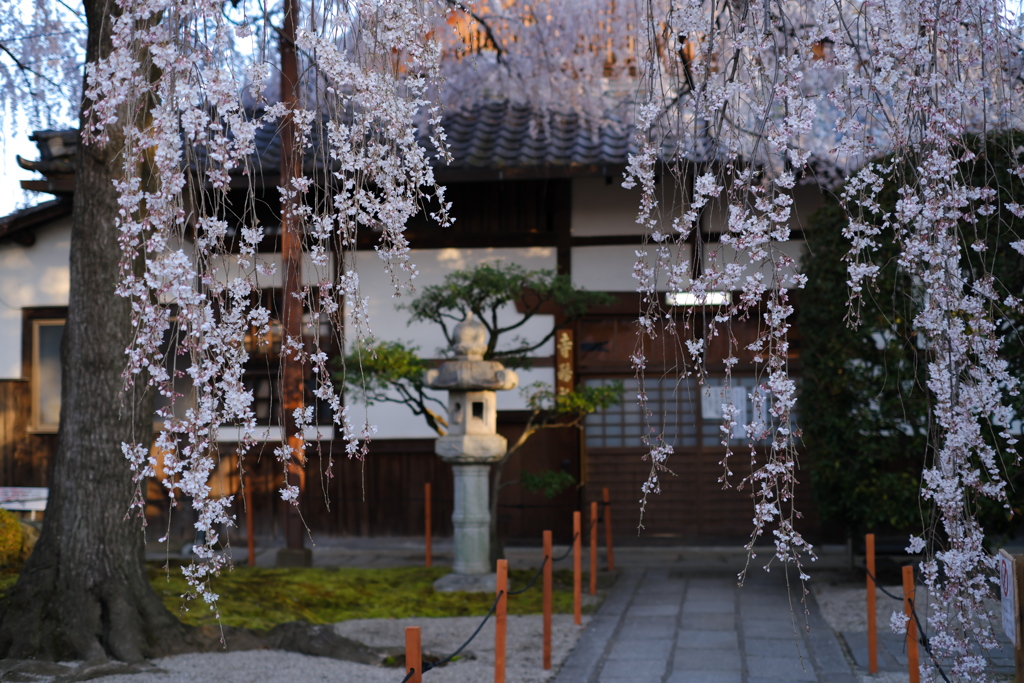 花のれん