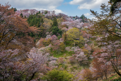 吉野ワールド