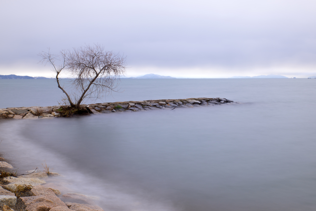 　白淡の湖北