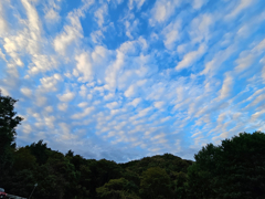 やっと　涼しくなったかなぁ～