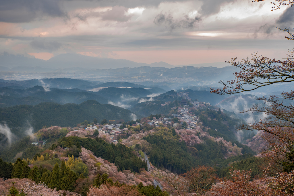 吉野山　春景