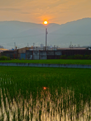 今朝の空