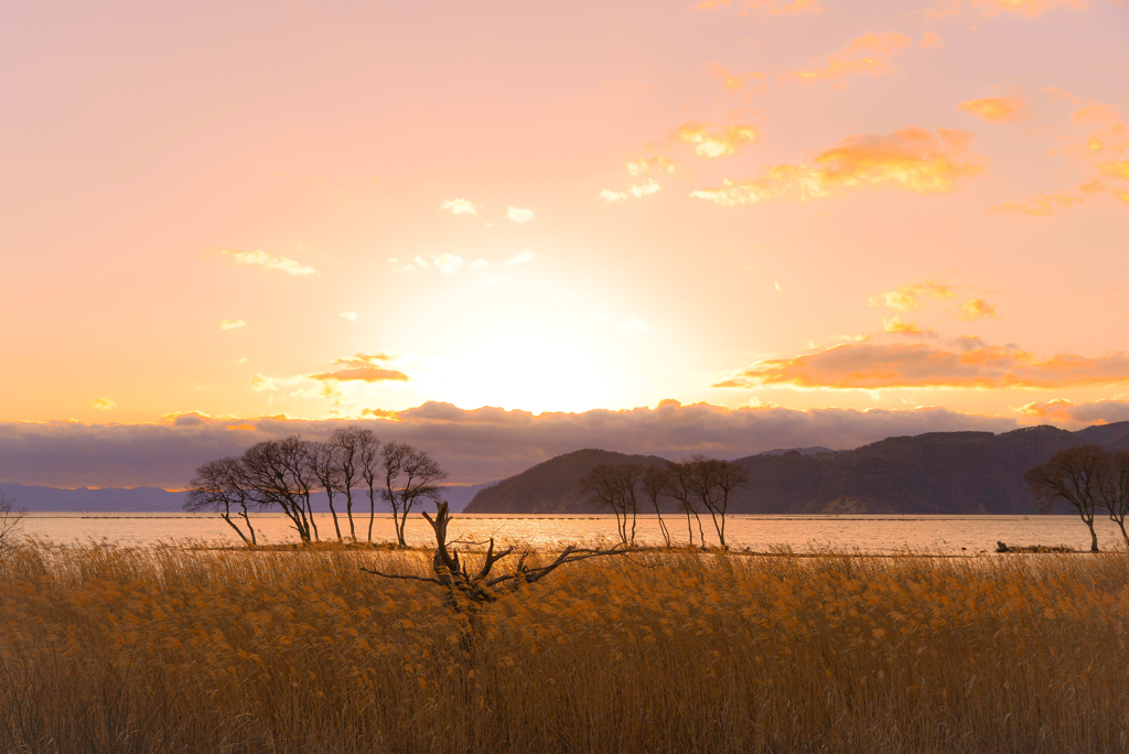   春夕の湖北