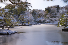 　雪の　華