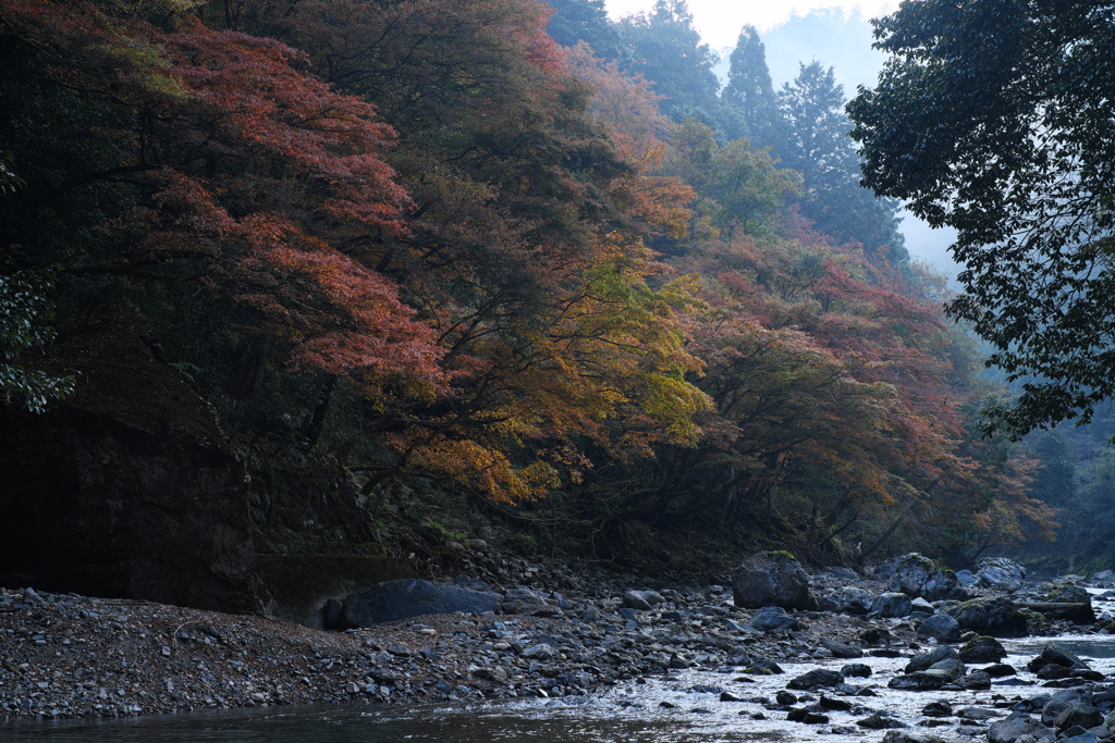 時・・・　　渓谷で見る情景