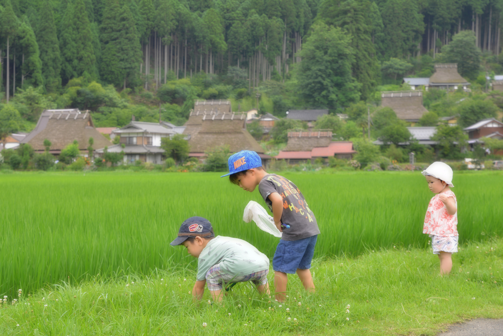 ほらっ！　そこにおるっ！