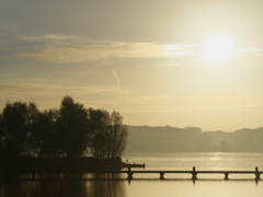 Goedemorgen　from Netherlands 
