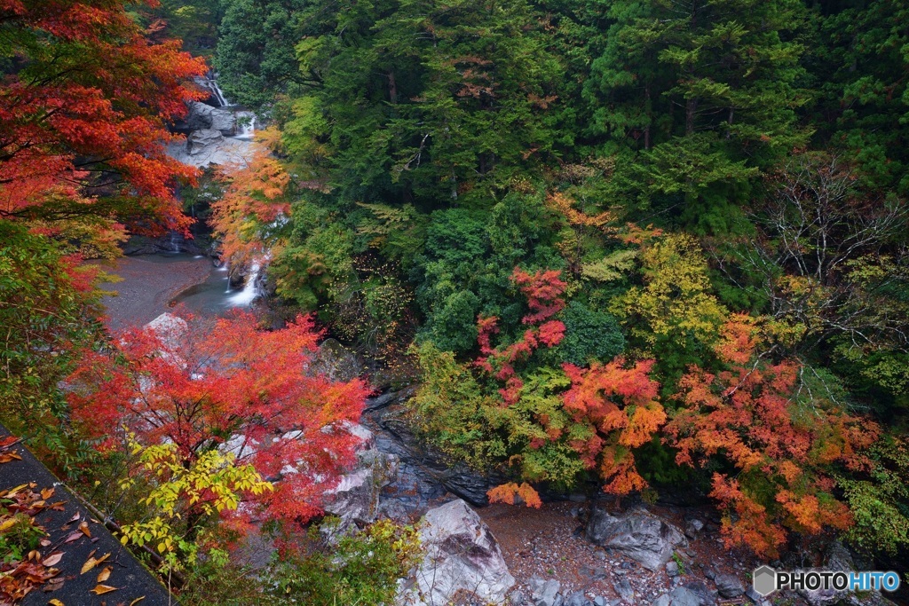 大轟の風景①