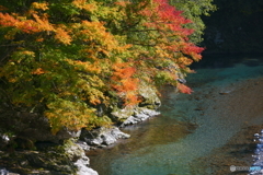 清流に広がる紅葉