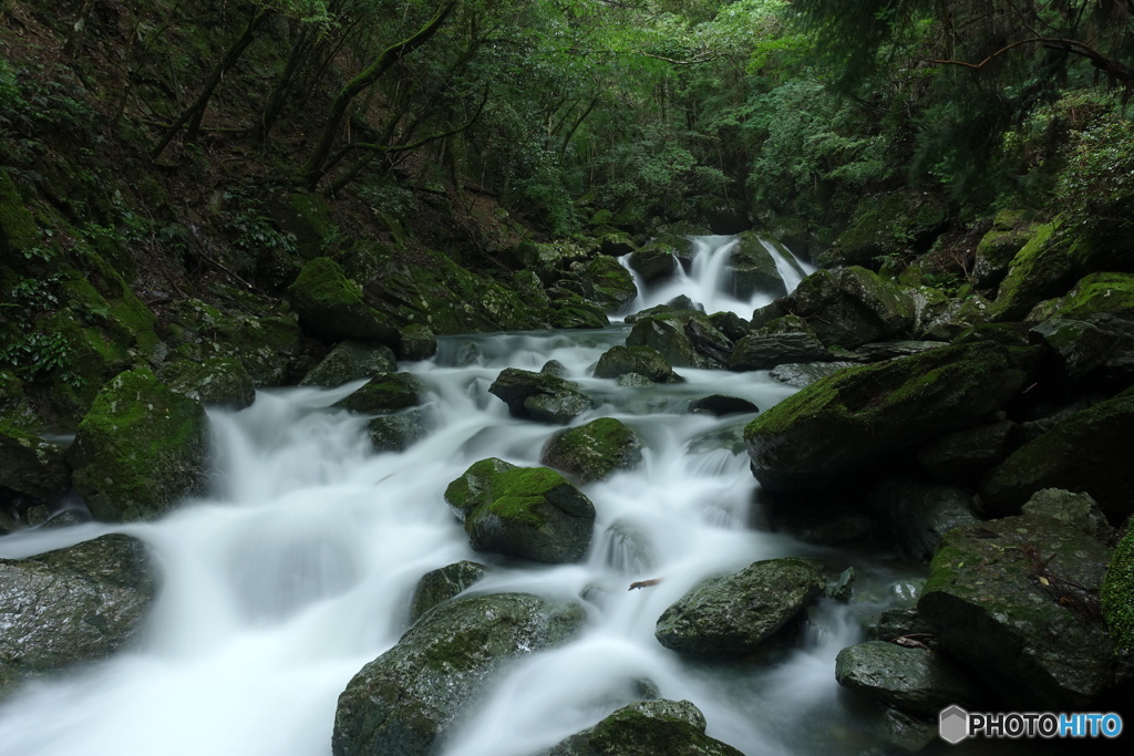 ヒヨノ谷川