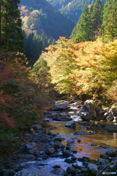 殿川内渓谷にて⑤