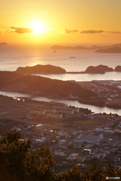 太平洋を望む