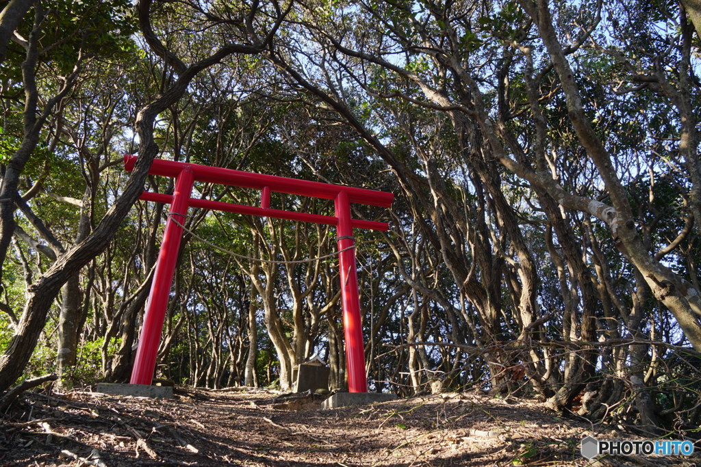 四国最東端の風景⑯