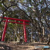 四国最東端の風景⑯
