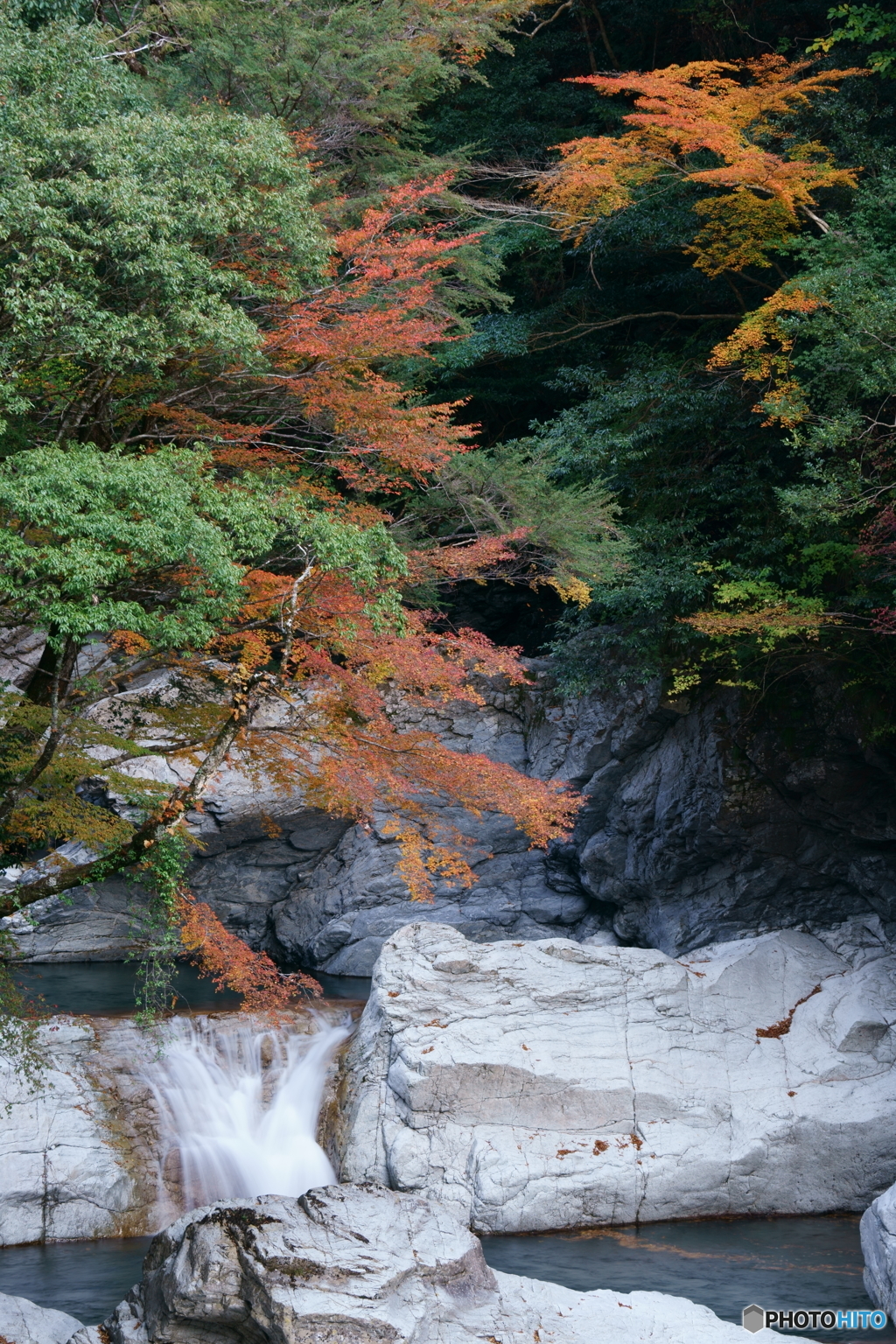 渓流上の紅葉