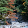 渓流上の紅葉