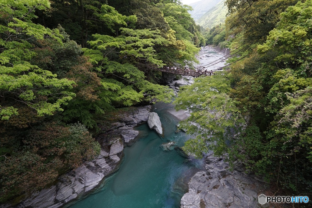 祖谷のかずら橋