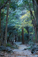 下山途中