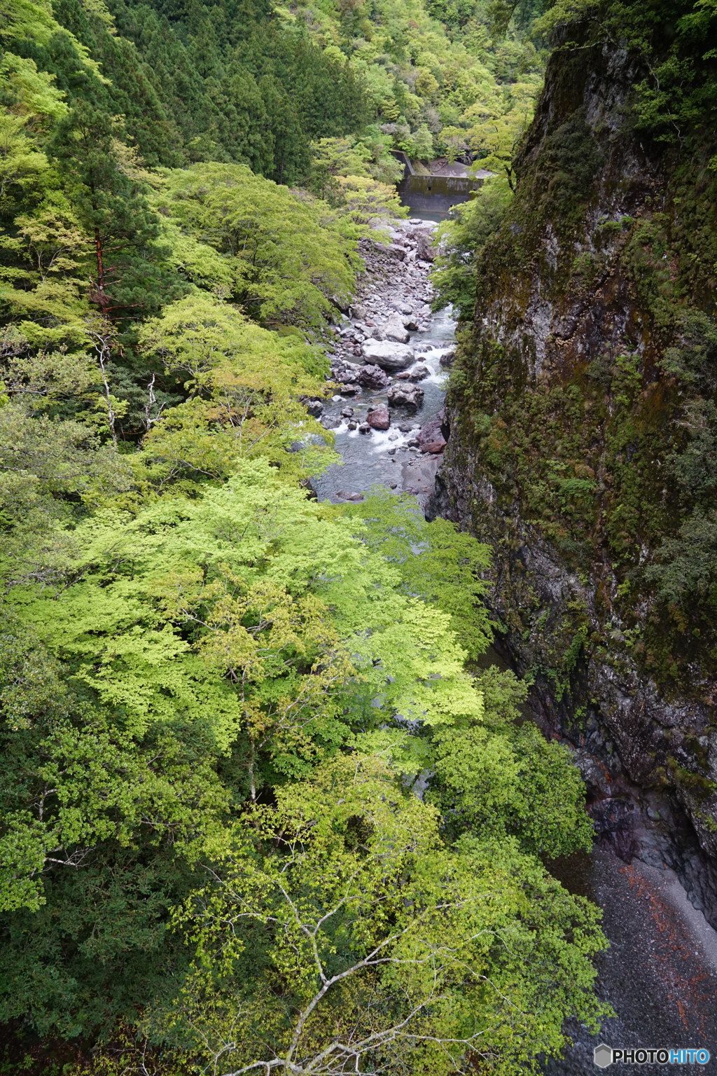 新緑の渓谷 ～坂州木頭川～