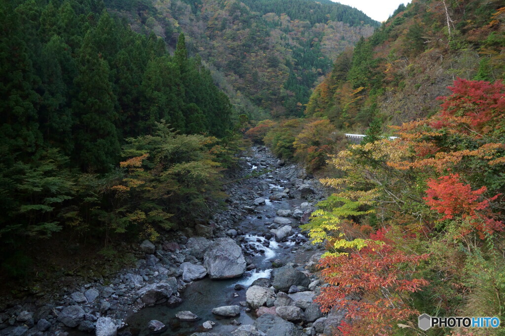 殿川内渓谷①