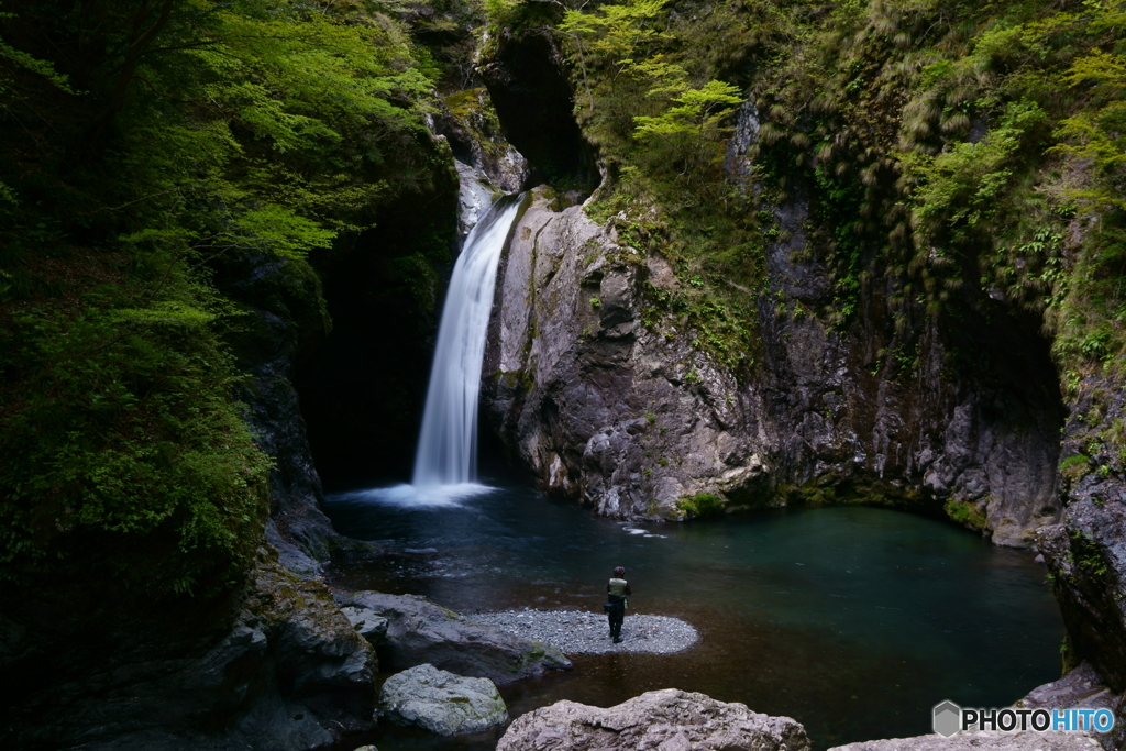 新緑の滝 ～大釜の滝①～