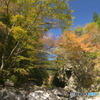 殿川内渓谷④