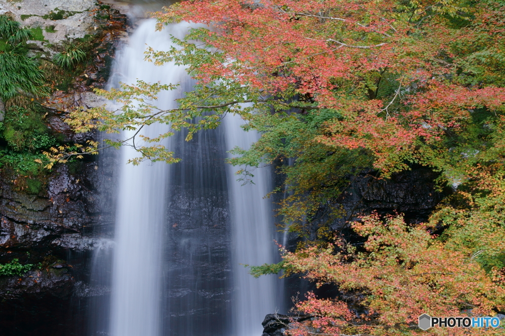 滝口＆紅葉