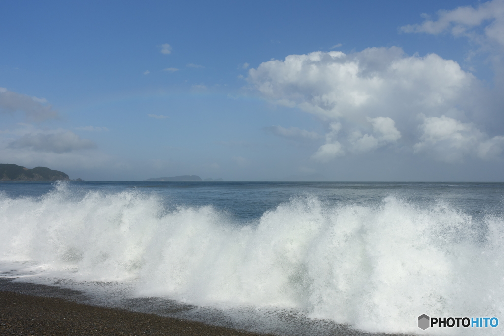 WAVEⅡ