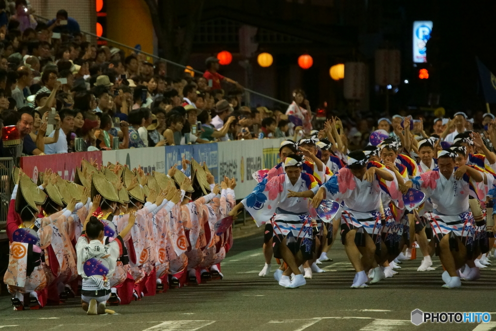 阿波踊り2017④