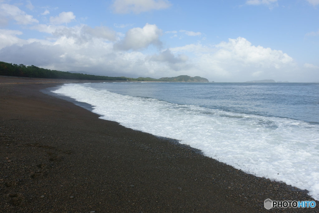 やっぱり海が好きなのかなぁ