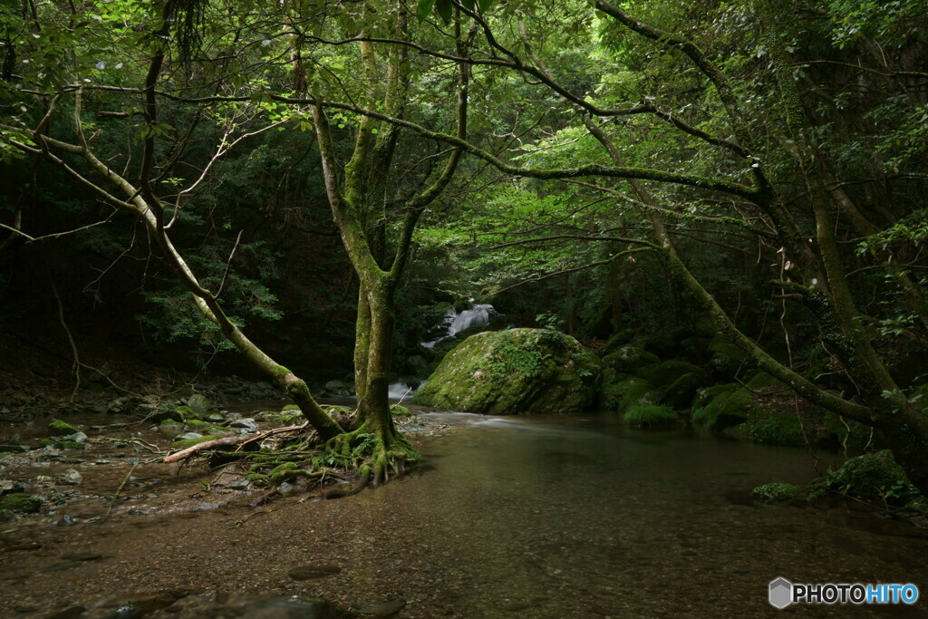 嵯峨川上流④