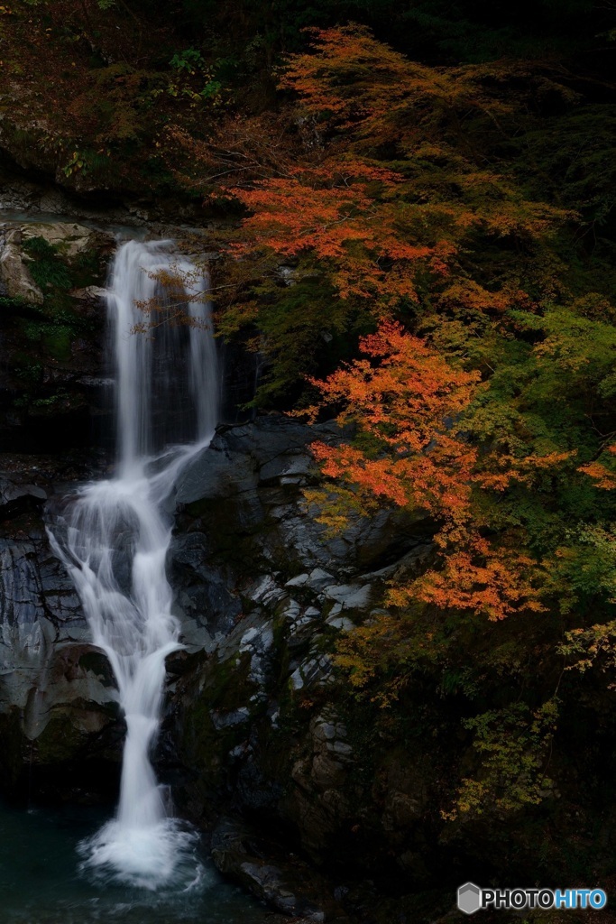 AUTUMN WATERFALL