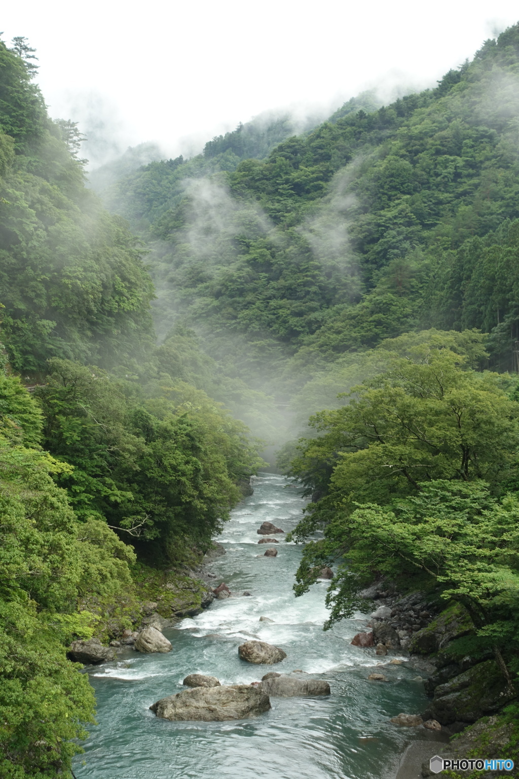 雨上がりの坂州木頭川