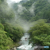 雨上がりの坂州木頭川