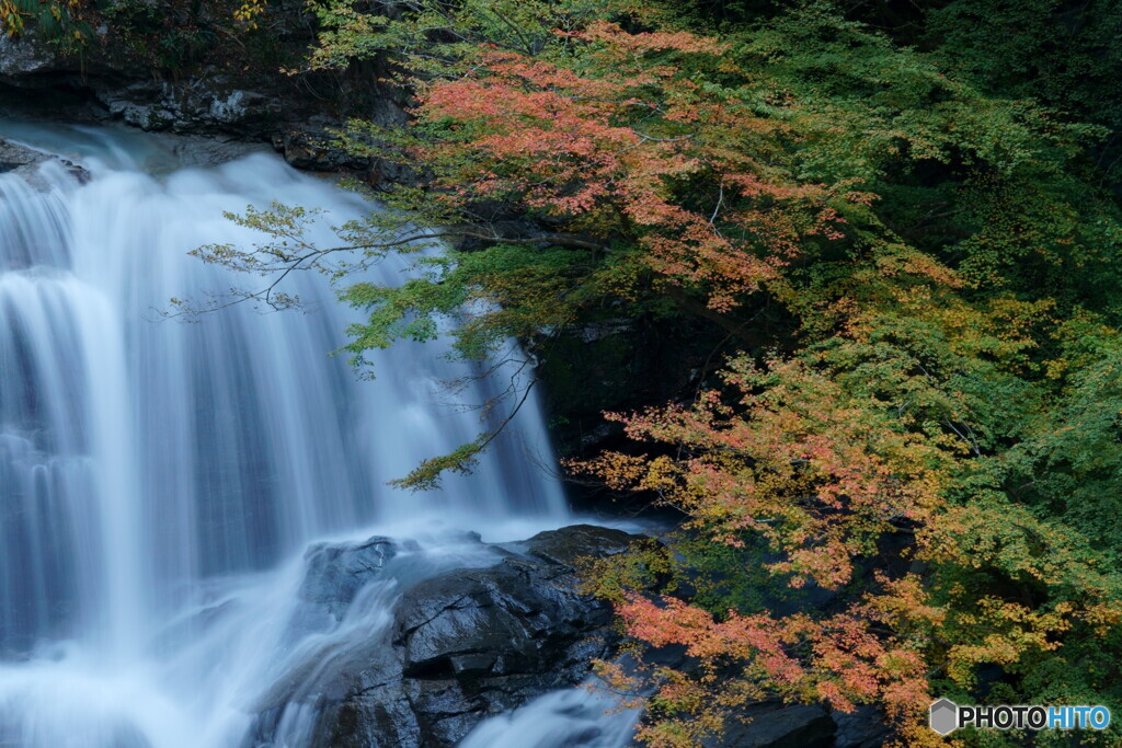 おおとどろの滝口