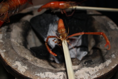 テナガエビ