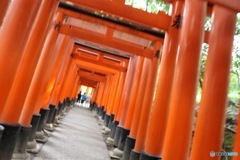 京都での一枚
