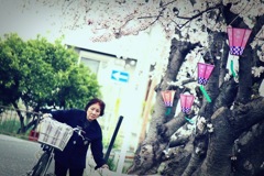 image sakura
